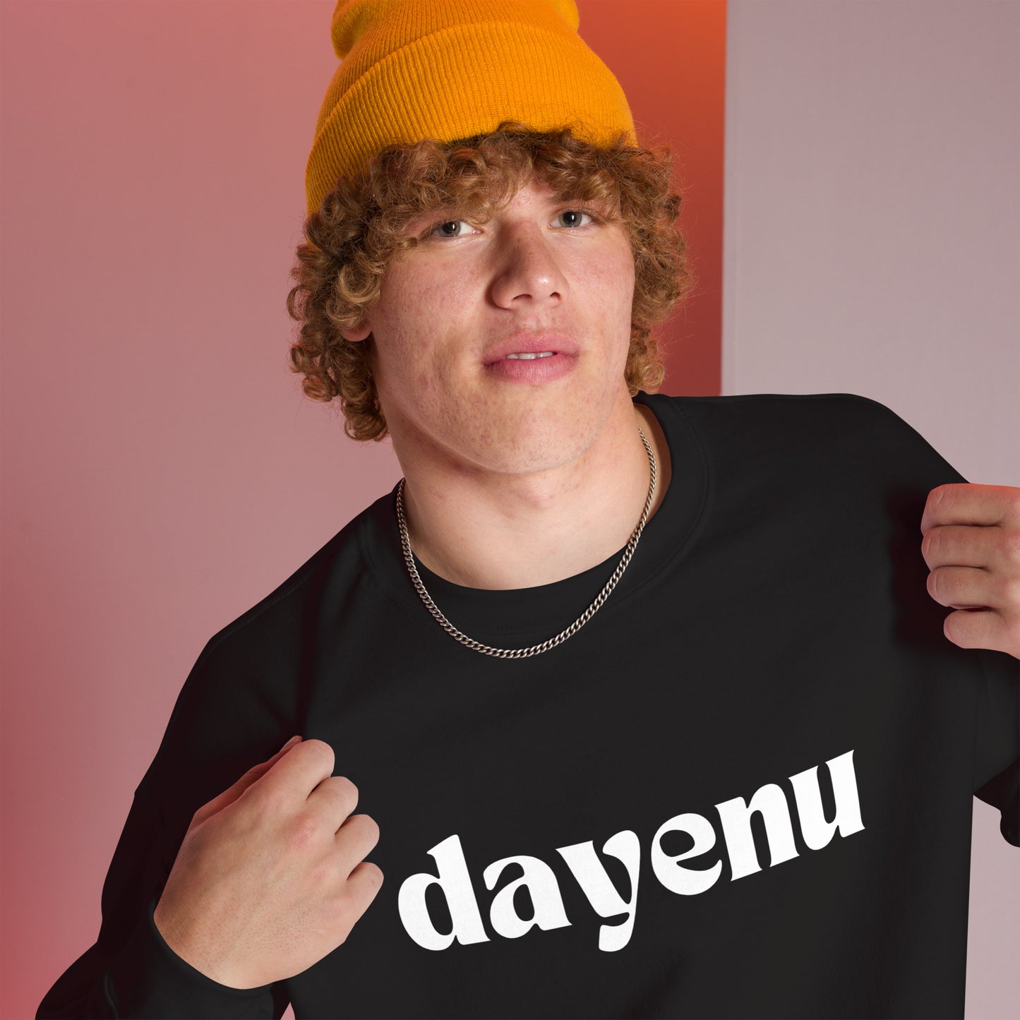 Dayenu Sweatshirt