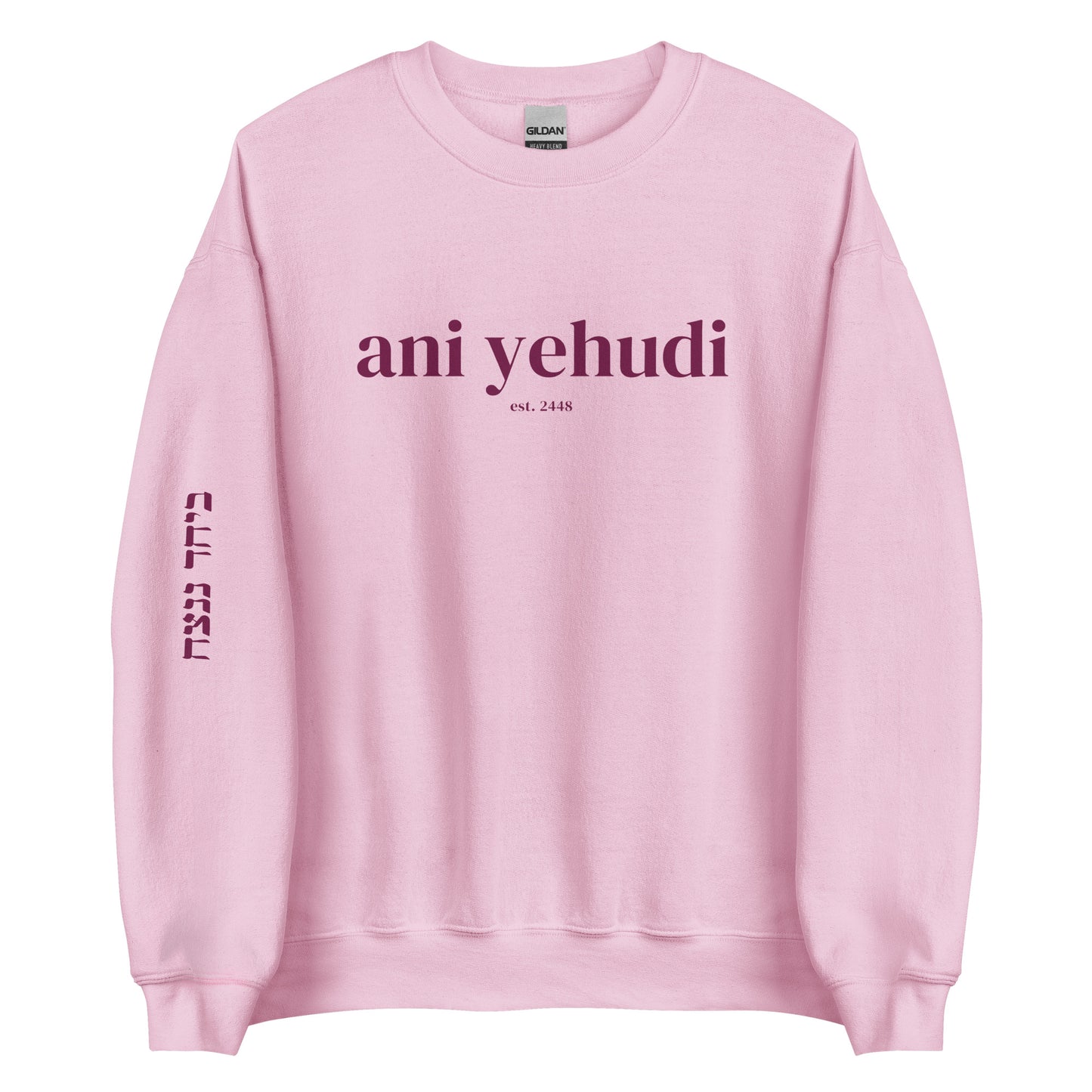 Ani Yehudi Sweatshirt