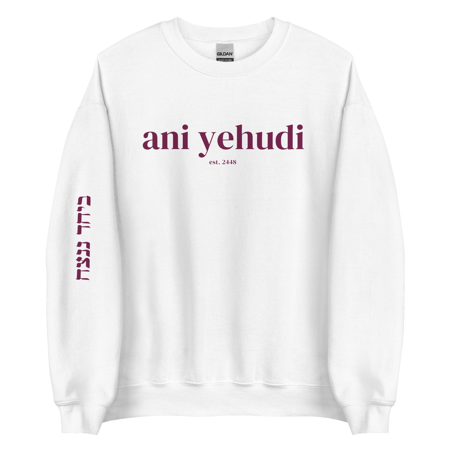 Ani Yehudi Sweatshirt