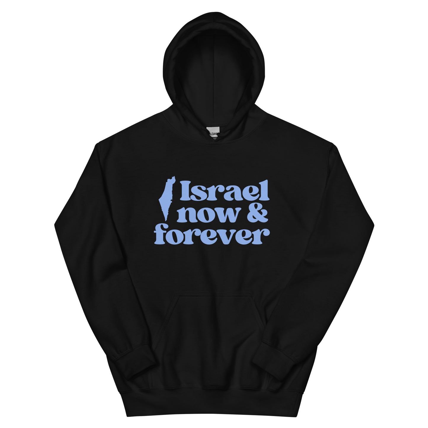 Israel Now & Forever Hoodie