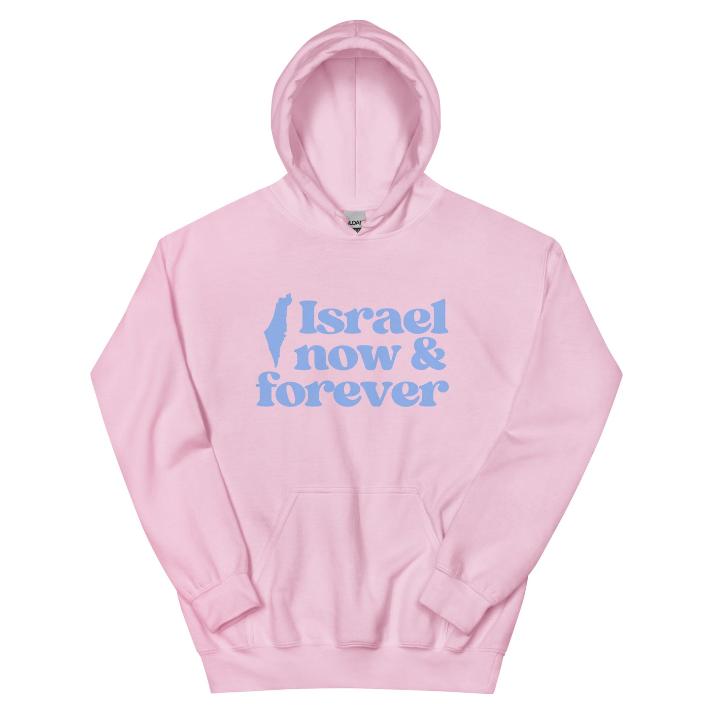 Israel Now & Forever Hoodie