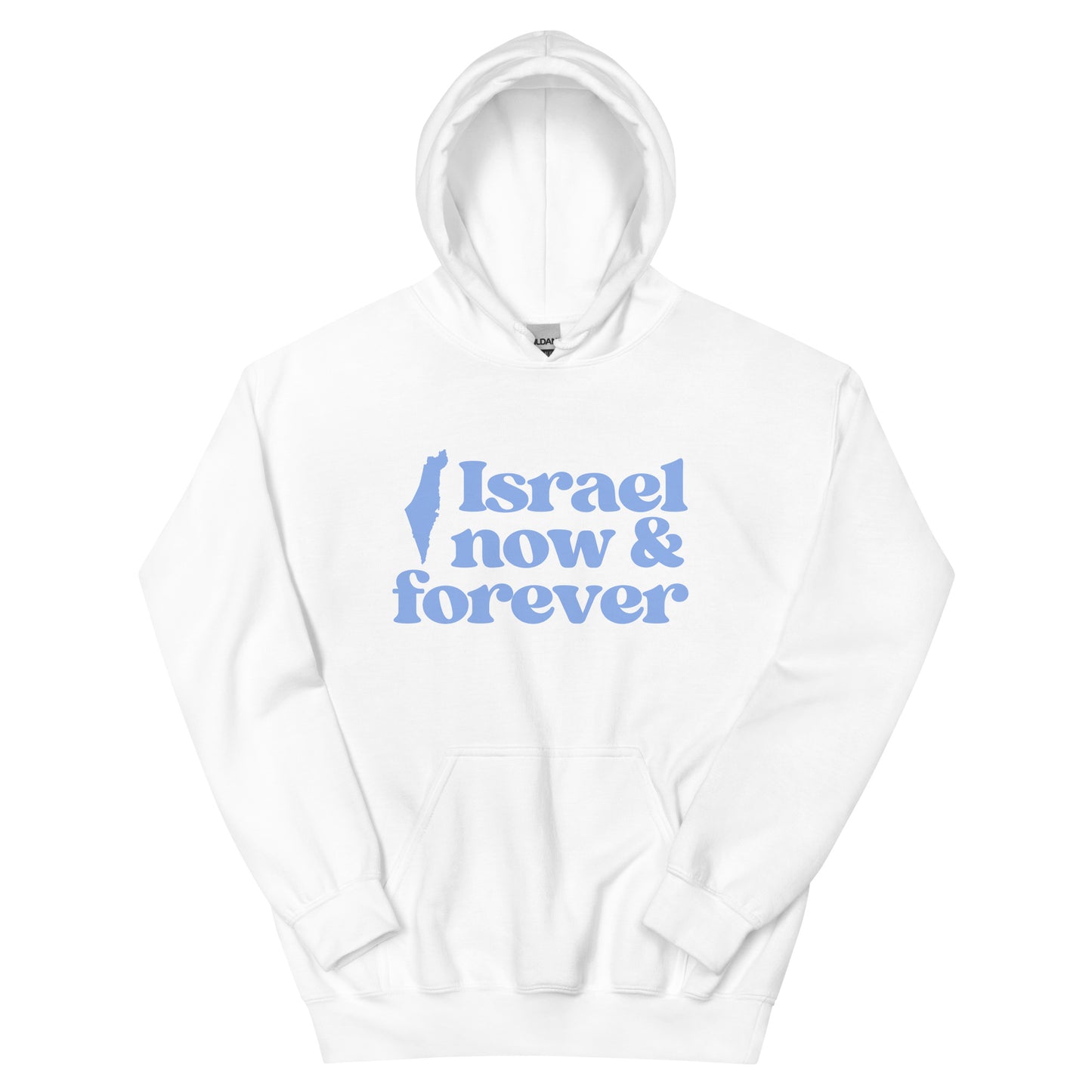 Israel Now & Forever Hoodie