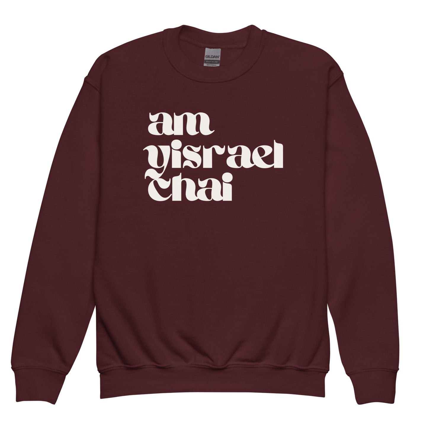 Youth Am Yisrael Chai Sweatshirt