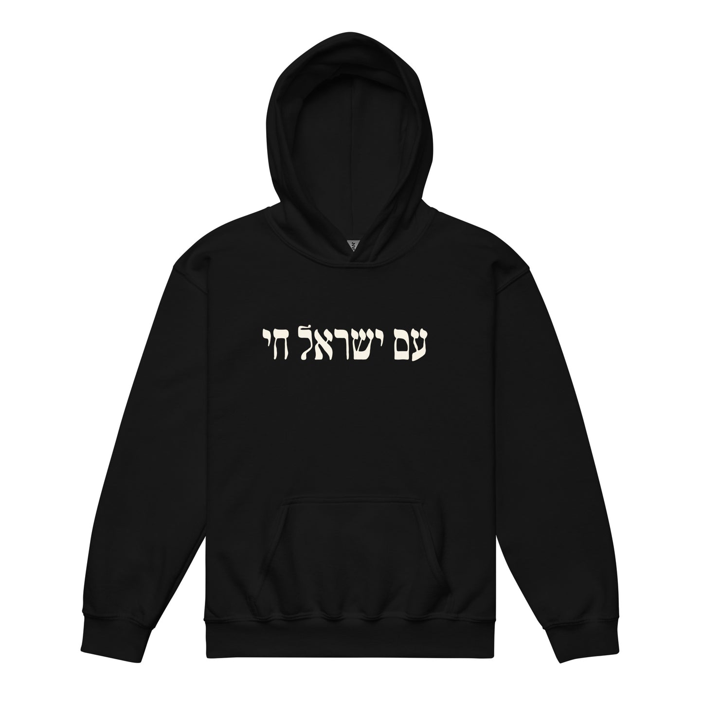 Youth Am Yisrael Chai Hoodie