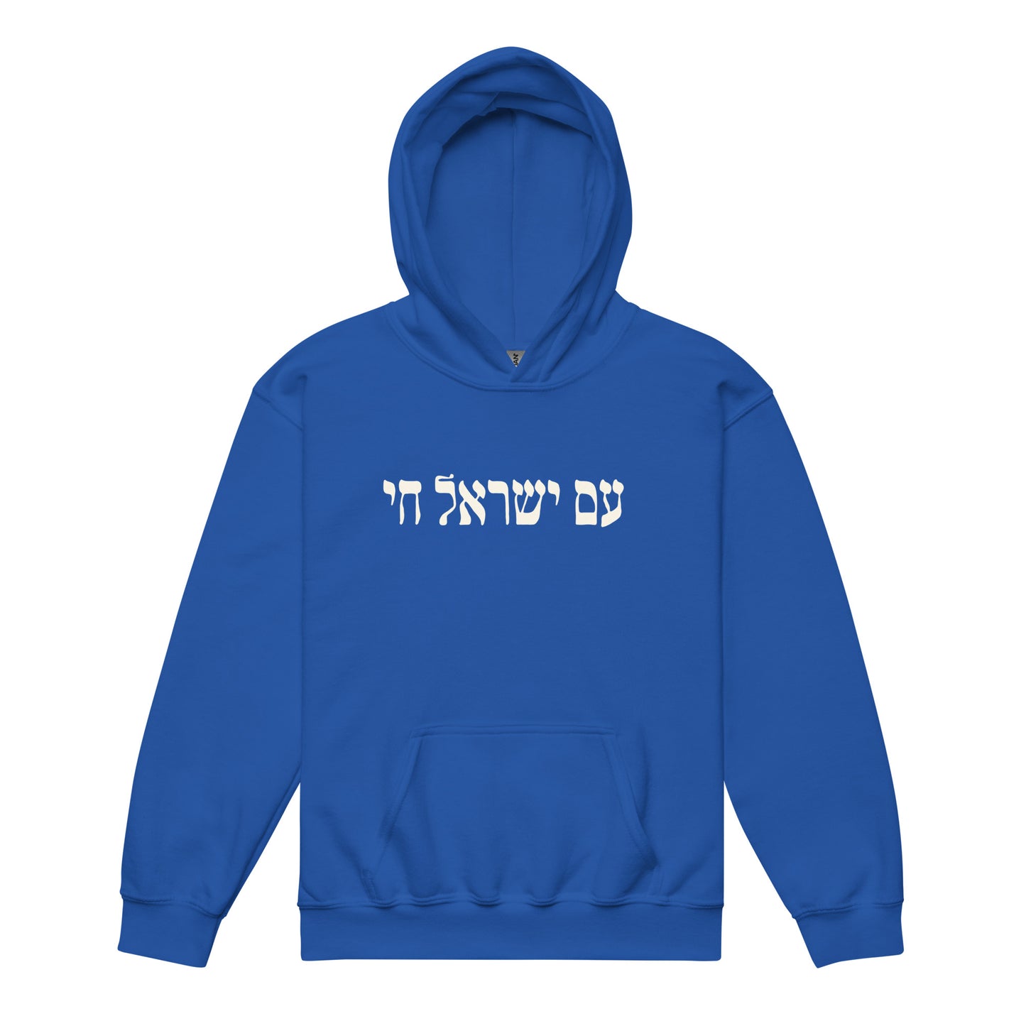 Youth Am Yisrael Chai Hoodie