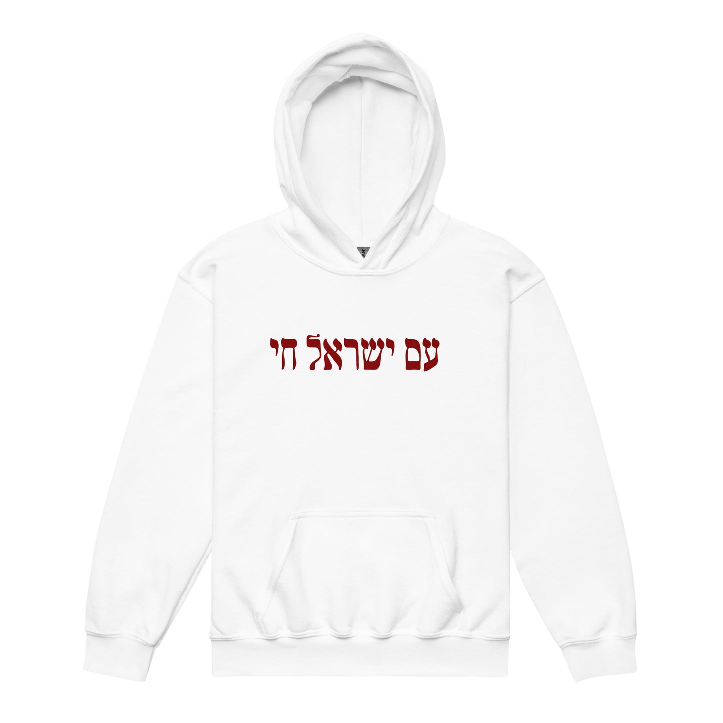 Youth Am Yisrael Chai Hoodie